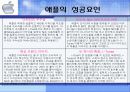 애플 기업분석 및 성공요인 21페이지