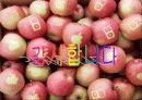 애플 기업분석 및 성공요인 22페이지