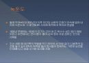 임나일본부설1 16페이지