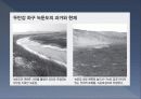 임나일본부설1 19페이지