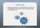 일본(세상을 비추는 둥근 태양) 29페이지