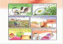 지구 온난화로 인한 질병 11페이지