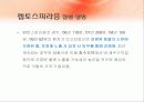 지구 온난화로 인한 질병 21페이지