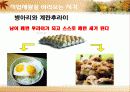 직업재활개론 6페이지