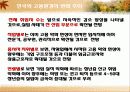 직업재활개론 11페이지