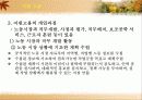 직업재활개론 69페이지