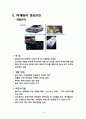 LEXUS의_한국시장_마케팅 18페이지