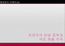 코스메슈티컬 브랜드 잇츠스킨의 도약을 위한 광고전략 12페이지
