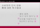 코스메슈티컬 브랜드 잇츠스킨의 도약을 위한 광고전략 15페이지