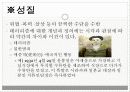 국제사회와관계 테러문제 5페이지