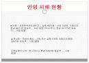국제사회와관계 테러문제 24페이지