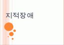 지적장애에 대해서 1페이지