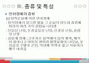 언어장애에 대하여 9페이지