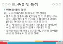언어장애에 대하여 11페이지