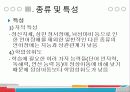 언어장애에 대하여 14페이지