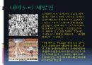 대마도, 녹둔도, 간도 14페이지