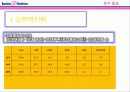 [마케팅]베스킨라빈스 15페이지