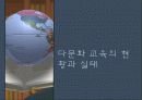 다문화교육 25페이지