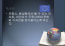 다문화교육 37페이지
