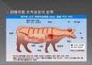 축산식품 육류 우유 계란 16페이지
