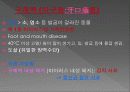 축산식품 육류 우유 계란 20페이지