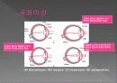 통합신경과학 - 시각계 7페이지
