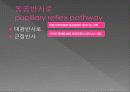 통합신경과학 - 시각계 13페이지