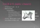 통합신경과학 - 시각계 40페이지
