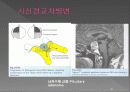 통합신경과학 - 시각계 42페이지