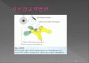 통합신경과학 - 시각계 44페이지