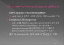 통합신경과학 - 시각계 46페이지