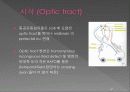 통합신경과학 - 시각계 47페이지