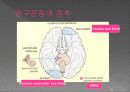 통합신경과학 - 시각계 65페이지