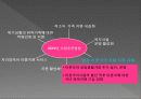 이혼 ·재혼 가정 22페이지