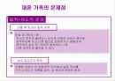 재혼 가족에 대해 20페이지