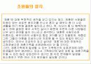 재혼 가족에 대해 28페이지
