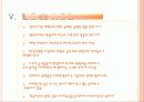 한국 현대사 60년  13페이지