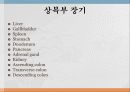 Epigastric pain 원인 19페이지