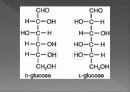 탄수화물 (carbohydrate)  4페이지