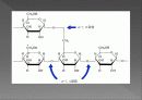탄수화물 (carbohydrate)  16페이지