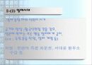 금기와 처벌, 그리고 권력 7페이지