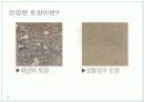 [환경과 인간] 토양환경 & 폐기물문제와 자원화 5페이지
