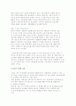 SIS의 성공요소 및 미래와 전망 4페이지