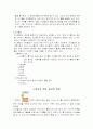 싸이월드에 열광하는 이유 - 외부적요인 4페이지