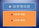 아웃렛의 등장 및 변화에 따른 ,유통 환경변화 3페이지