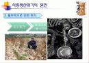 식량생산 문제와 인구문제 9페이지