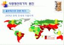 식량생산 문제와 인구문제 10페이지