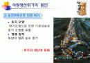 식량생산 문제와 인구문제 12페이지