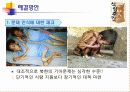 식량생산 문제와 인구문제 15페이지
