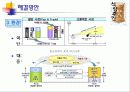 식량생산 문제와 인구문제 17페이지
